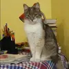 Отзыв от Лия Круглова